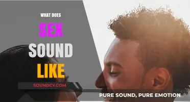 Exploring the Audible Intimacy: What Does Sex Sound Like?