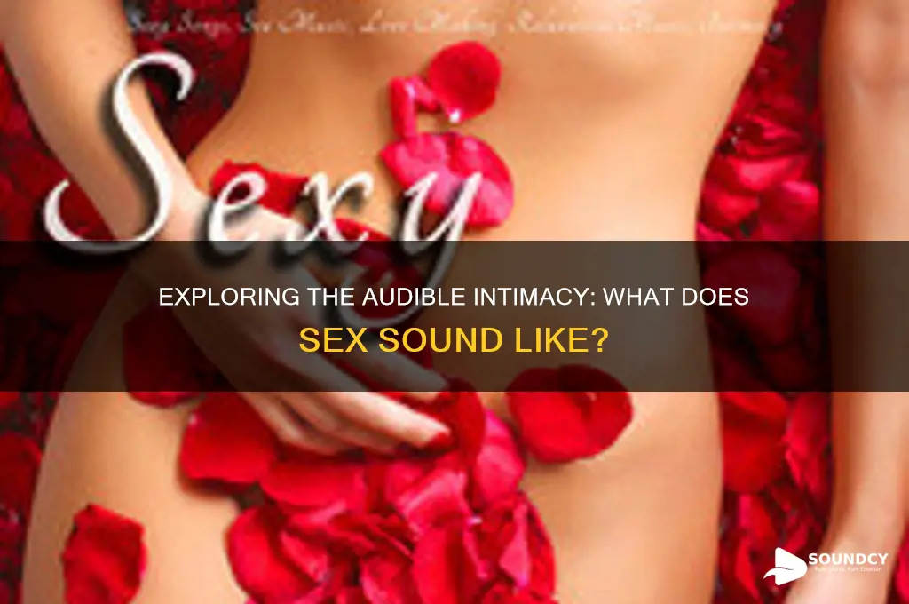 what does sex sound like