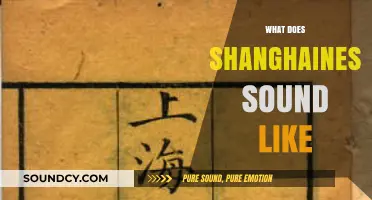 Exploring Shanghainese: Unique Tones, Rhythm, and Sounds of the Dialect