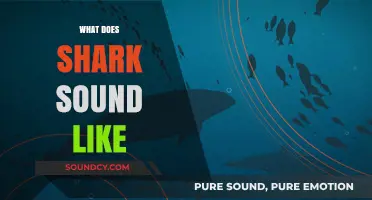 Unveiling the Mysterious Underwater Sounds of Sharks: What Do They Sound Like?