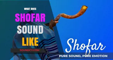 Unveiling the Mystical Sound: What Does a Shofar Truly Sound Like?