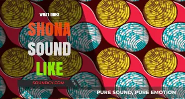 Exploring the Unique Rhythms and Melodies of Shona Language Sounds