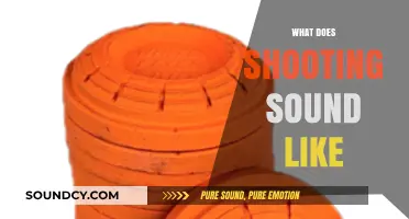 The Sonic Boom: Decoding the Unique Sound of Gunfire