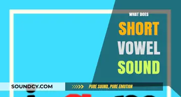 Understanding Short Vowel Sounds: A Beginner's Guide to Pronunciation and Examples
