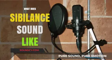 Unraveling Sibilance: The Distinct Hiss and Whisper of Language Sounds