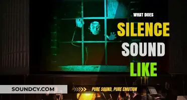 The Quiet Symphony: Unraveling the Intricate Sounds of Silence