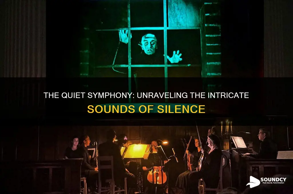 what does silence sound like