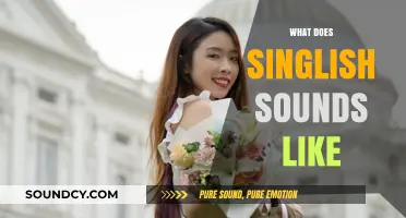 Unraveling Singlish: A Unique Blend of Sounds and Expressions in Singapore
