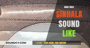 Exploring the Unique Melody and Rhythm of Sinhala Language Sounds
