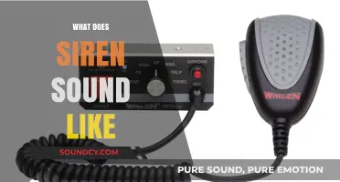 Unraveling the Distinctive Wail: What Does a Siren Sound Like?