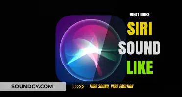 Exploring Siri's Voice: What Does Apple's Assistant Sound Like?