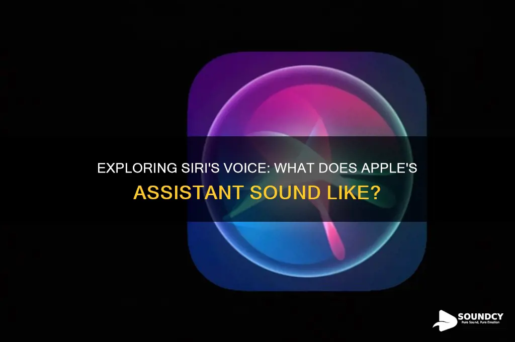 what does siri sound like