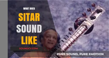 Exploring the Unique, Soulful Sound of the Sitar: A Musical Journey