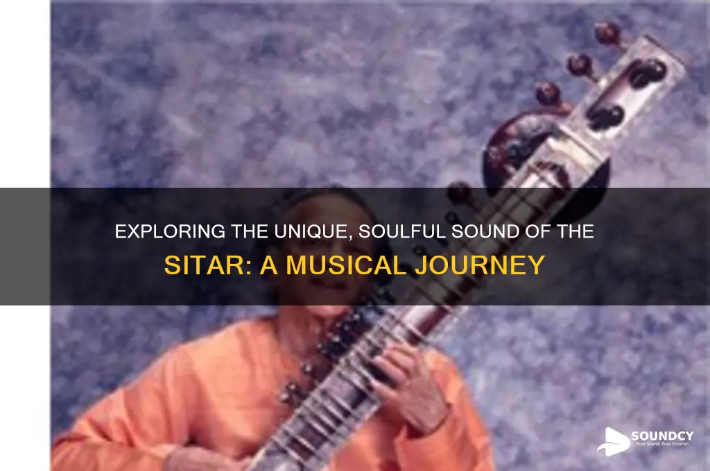 what does sitar sound like