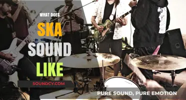 Exploring Ska's Unique Sound: Offbeat Rhythms, Horns, and Infectious Energy