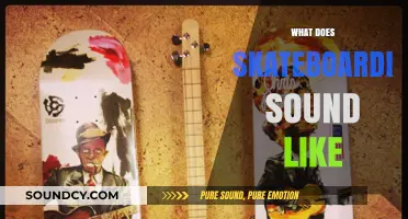 The Unique Sounds of Skateboarding: Decks, Wheels, and Concrete Rhythms