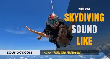 The Sonic Thrill: What Skydiving Sounds Like in Free Fall