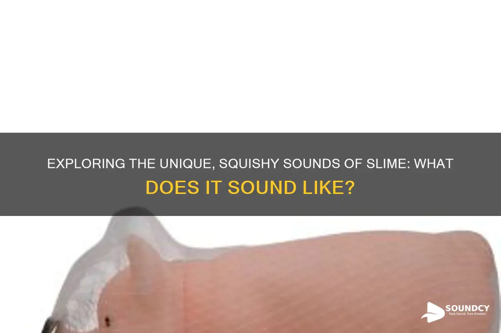 what does slime sound like