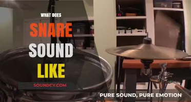 Unveiling the Snare Drum's Signature Crack: What Does Snare Sound Like?