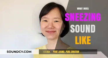Exploring the Unique Sounds of Sneezing: What Does It Really Sound Like?