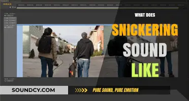 Decoding the Snickering Sound: A Playful Exploration of Laughter's Subtle Nuances