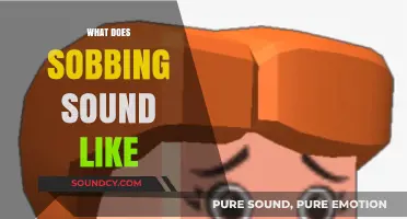 Unraveling the Heart-Wrenching Melody: What Does Sobbing Sound Like?