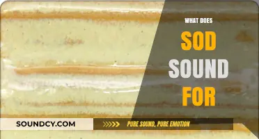 Understanding Sod: What Does Sod Sound Like and Why It Matters