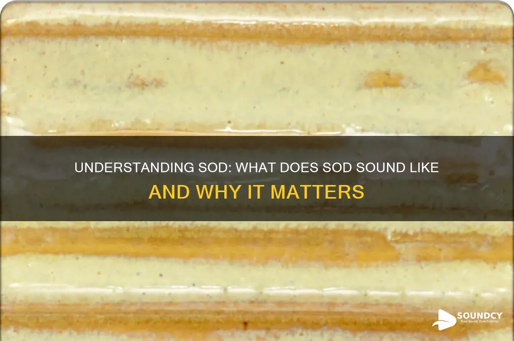 what does sod sound for