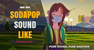 Exploring the Unique, Effervescent Sound of Sodapop: A Sonic Journey