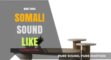 Exploring the Unique Melody and Rhythm of the Somali Language