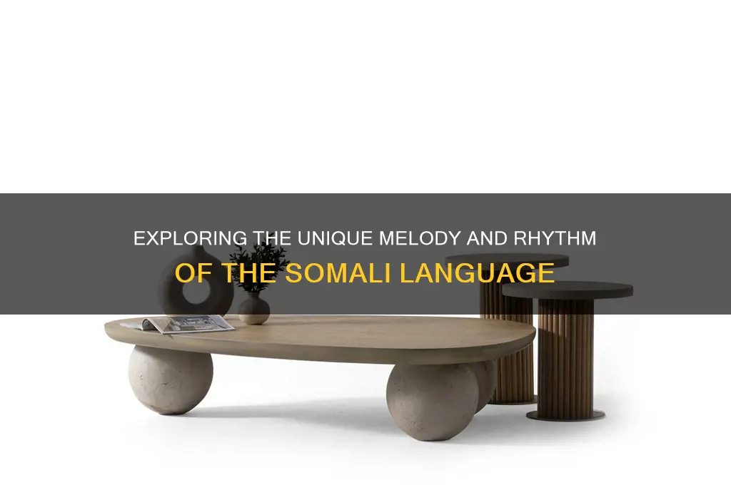 what does somali sound like