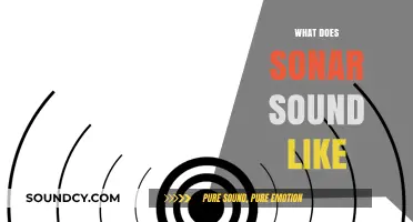 Unveiling the Mysterious Sounds of Sonar: What Does It Really Sound Like?