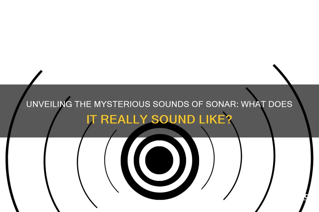 what does sonar sound like