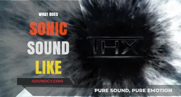 Unveiling Sonic's Unique Sound: A Deep Dive into His Iconic Audio