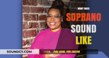 Discover the Unique, High-Pitched Beauty of Soprano Voices