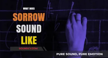 The Haunting Melody: Decoding the Audible Echoes of Sorrow