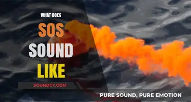 Decoding the SOS Distress Signal: Its Unique Sound and Historical Significance