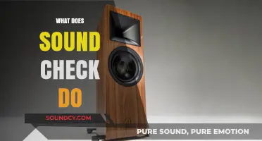 Understanding Sound Check: Enhancing Audio Quality and Performance