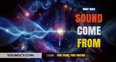 Unveiling the Origins: Exploring the Science Behind Sound Creation