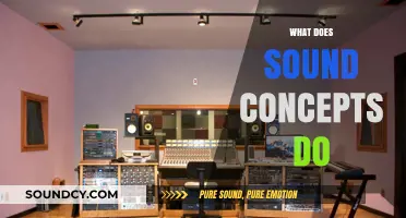 Exploring Sound Concepts: Services, Innovations, and Industry Impact Revealed