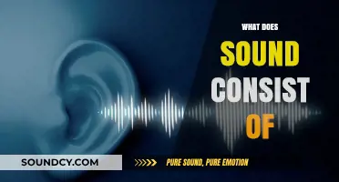 Unraveling Sound's Secrets: Waves, Vibrations, and Perception Explained