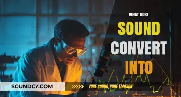 Exploring Sound's Transformations: Energy, Vibrations, and Beyond