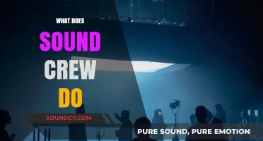 Unveiling the Role: What Does a Sound Crew Actually Do?