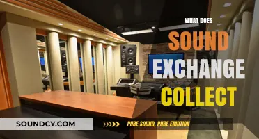 What Does SoundExchange Collect? Understanding Royalties and Music Licensing