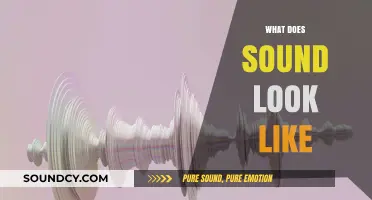 Visualizing Sound: Unveiling the Invisible Patterns of Audible Waves