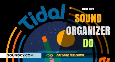 Understanding Sound Organizer: Features, Functions, and Benefits Explained