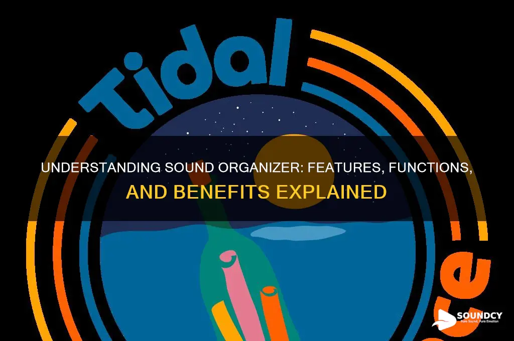 what does sound organizer do