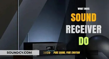 Understanding the Role and Function of a Sound Receiver in Audio Systems