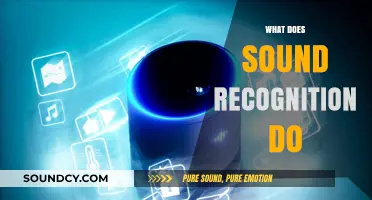 Understanding Sound Recognition: How It Works and Its Applications