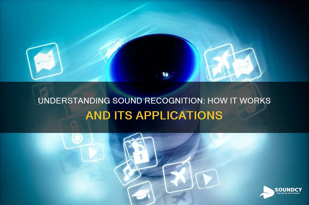 what does sound recognition do